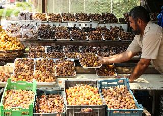 الزراعة للفلاحين: صدّروا التمور بجهود ذاتية