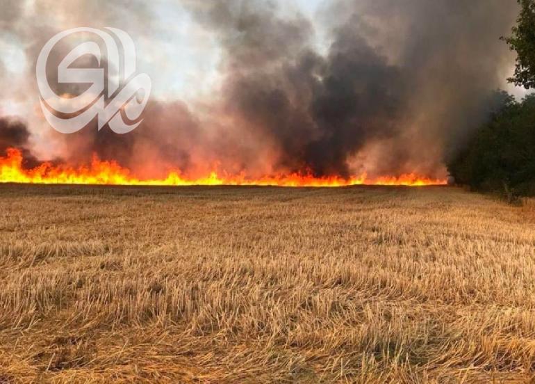 حريق يدمر (80) دونماً من مزارع الحنطة في ديالى