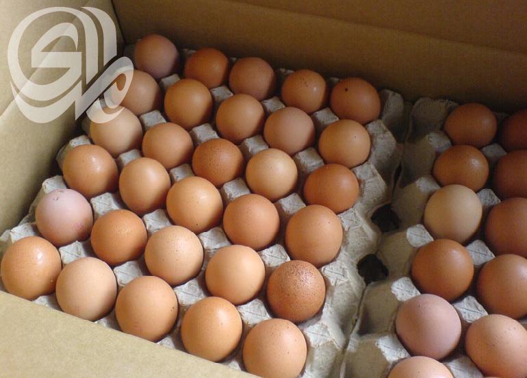 الزراعة تتخذ إجراءات لخفض سعر البيض وتشكو التهريب