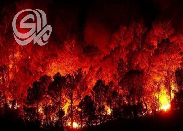تونس: 140 حريقاً في يوم واحد