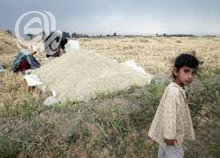 انهيار الامن الغذائي وهجرة متزايدة.. تقرير يحذر من تبعات الجفاف في العراق