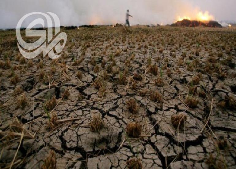 ديالى: خطر الجفاف يهدد بهجرة عكسية للمزارعين