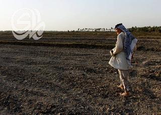 منظمة الفاو: 70‌% من الزراعة في العراق تراجعت خلال