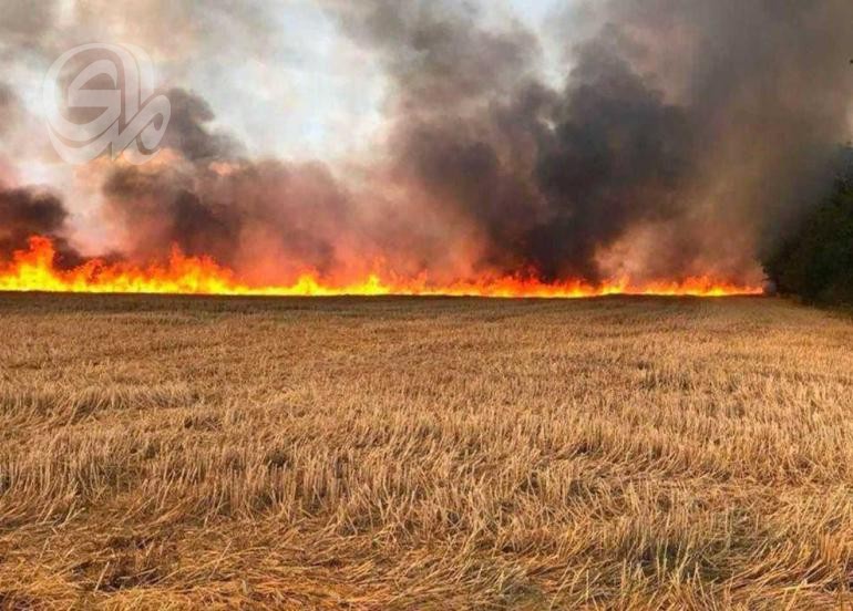 مديرية غابات السليمانية تدعو الفلاحيين: توقفوا عن حرق الحقول بعد الحصاد