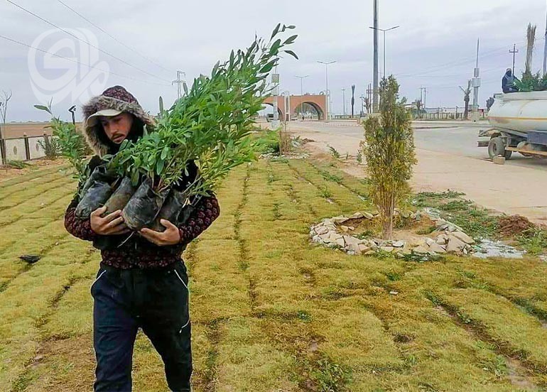 استثمار يلتهم الأخضر.. نينوى تفقد نصف أراضيها الزراعية في سباق عشوائي نحو الربح!