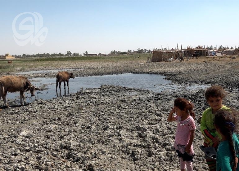 الجفاف والتغيرات المناخية يتسببان بنزوح 10 آلاف عائلة في ذي قار