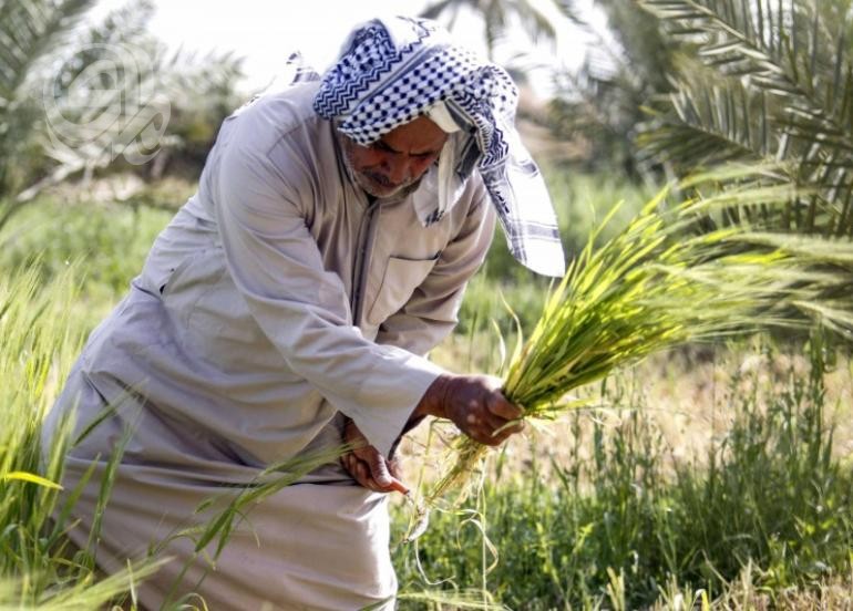 أزمة المياه تثير امتعاض الفلاحين ومطالبات بدعم حكومي