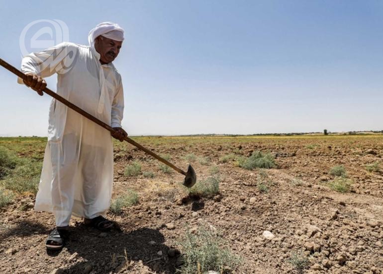 العراق يفقد نحو 30% من الأراضي الزراعية جراء التغيرات المناخية