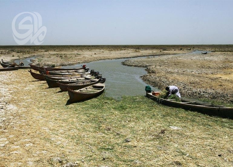 التلغراف: الجفاف والسدود تعرض أهوار العراق لخطر التلاشي