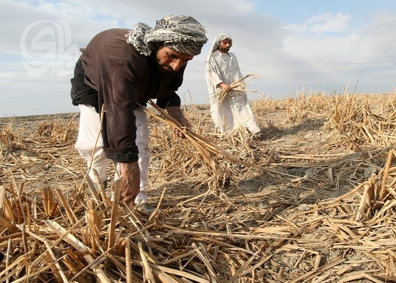 دراسة دولية: تأثيرات الجفاف على أمن العراق الزراعي والاقتصاد الاجتماعي