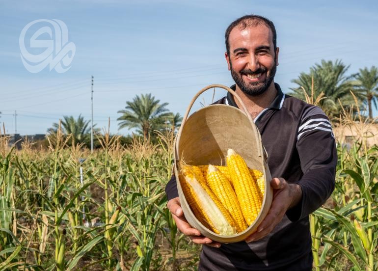 العراق يسجل ارتفاعا بنسبة الاستثمار الزراعي خلال خمس سنوات