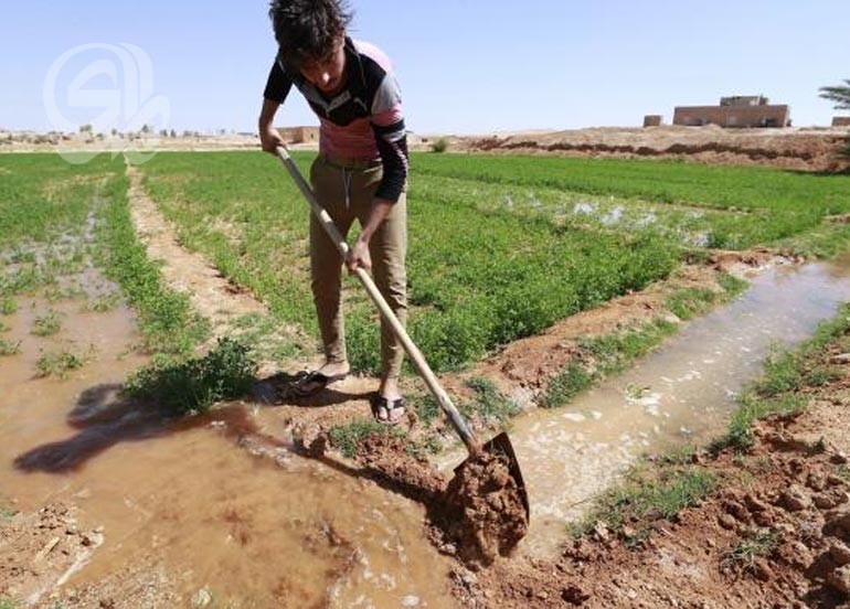 خطة الزراعة الشتوية تواجه شحّ المياه… ومرصد بيئي ينتقد غياب استراتيجية لاستثمار الأمطار