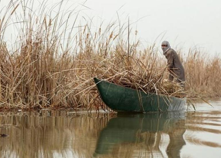 الأمطار والسيول تعيد الأمل جزئيًا إلى أهوار ميسان المتضررة من الجفاف