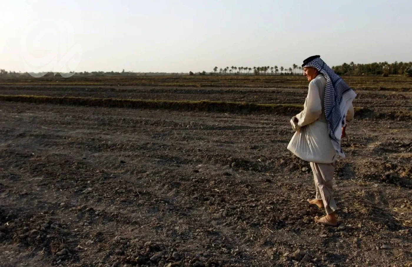 الزراعة تطلق مشروع