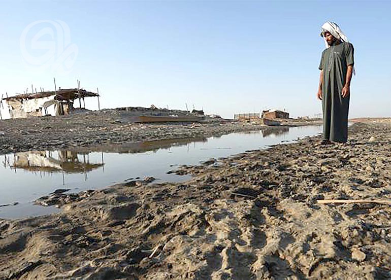 ذي قار تناقش تحديات الواقع البيئي وتحذر من التداخل الريفي والرعي العشوائي