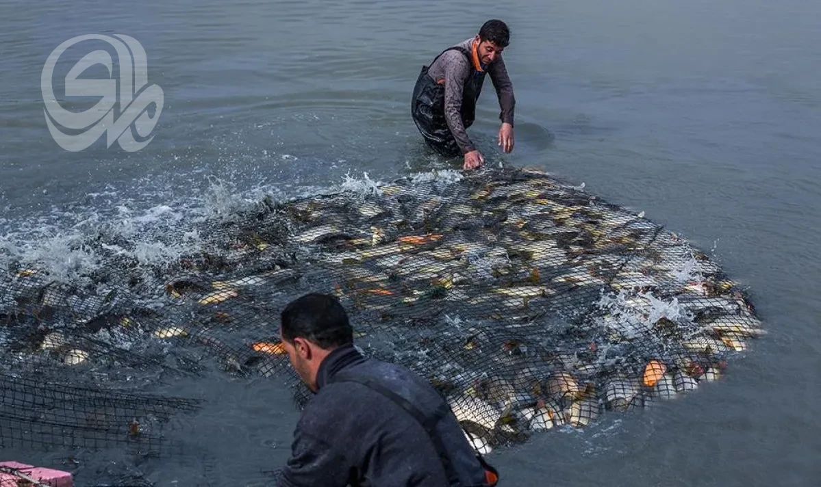 الزراعة تمنع صيد الأسماك خلال موسم التكاثر حفاظًا على الثروة السمكية