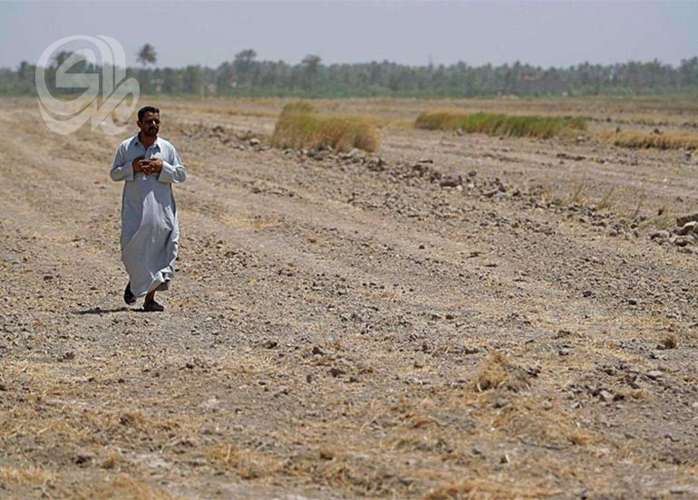 فوضى إدارية تُربك العمل الفلاحي وتُهدد الزراعة.. وجفاف يفتك بـ40 % من بساتين ذي قار